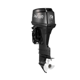 T75FEX-T